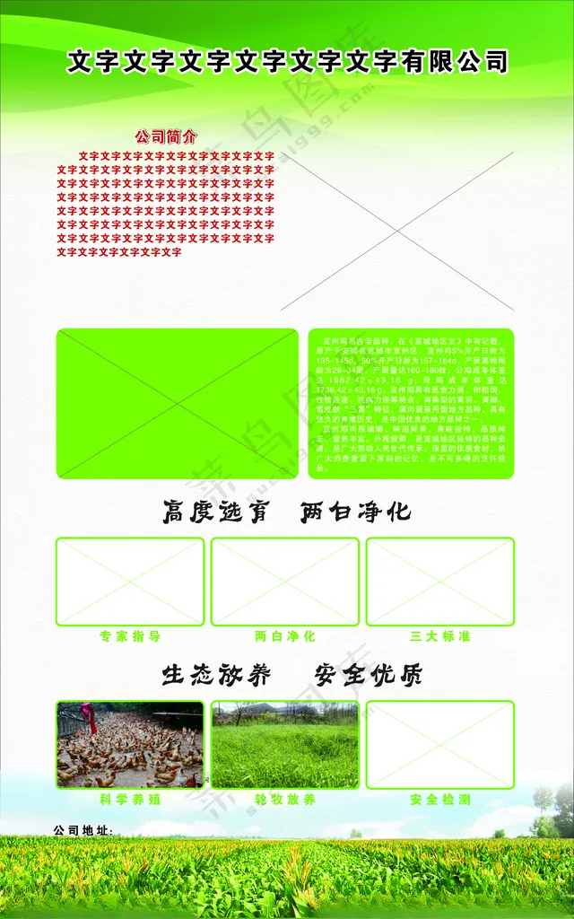 养殖场展架家禽图家禽养殖海报