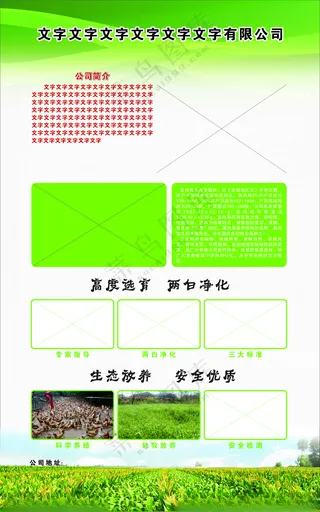 养殖场展架家禽图家禽养殖海报