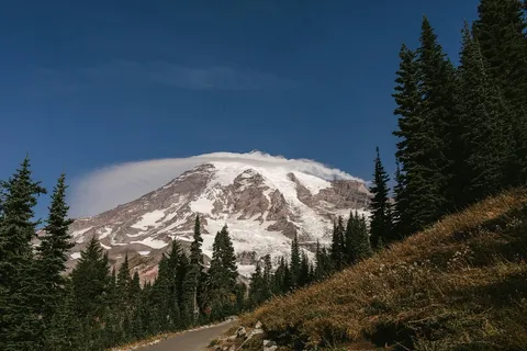 山巅之雪与翠林相拥 山巅之雪与翠林相拥