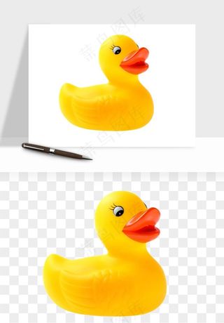 小黄鸭png免抠