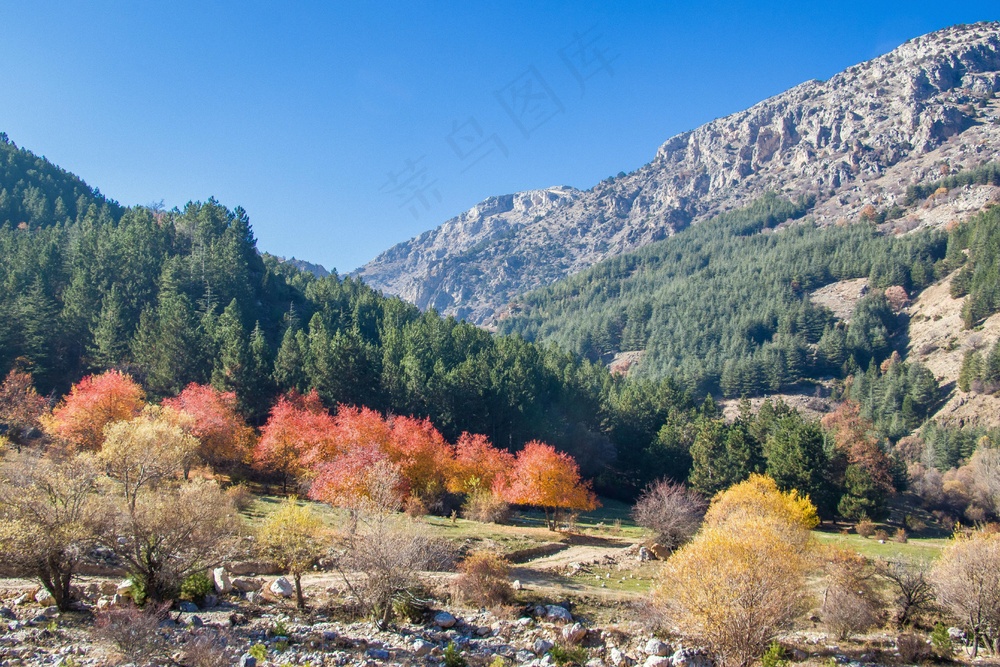 秋日山谷：宁静自然的色彩画卷