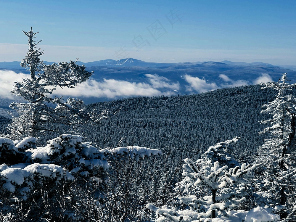雪域静谧：冬日山林的蓝调风情
