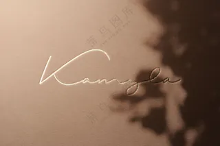 43Logo标志样机徽标设计展示模板