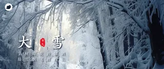 大雪公众号首图