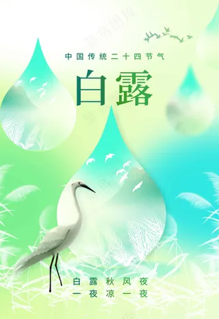 白露节气传统活动海报