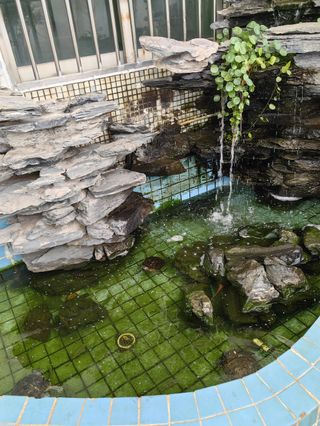 庭院里的假山流水