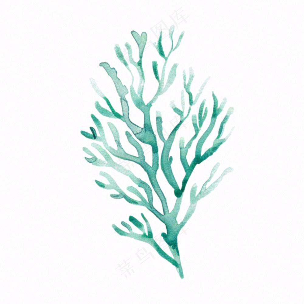 海洋海藻珊瑚植物卡通插画免抠