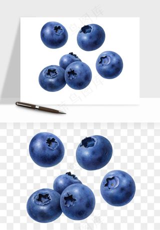 蓝莓水果png免抠