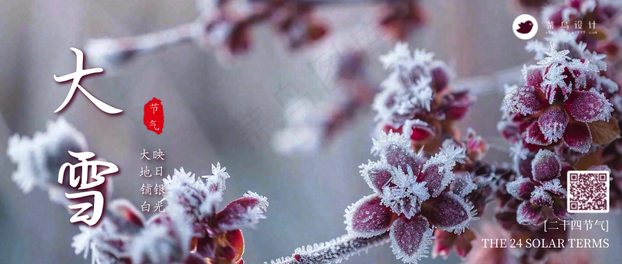 大雪公众号首图