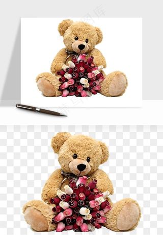 泰迪熊玩具熊png免抠