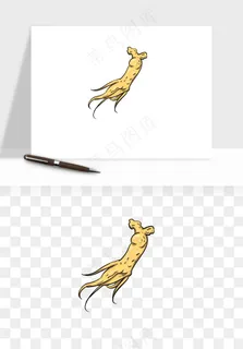 人参养生药材png免抠 人参养生药材png免抠