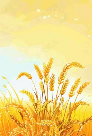 农田里金黄的麦穗稻穗收成卡通插画芒种世界粮食日插画背景