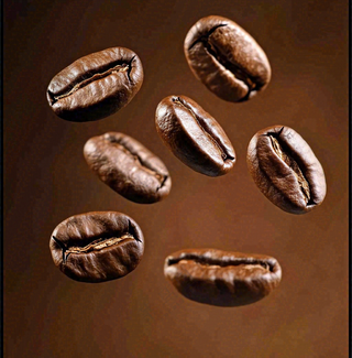 咖啡豆散落摄影图