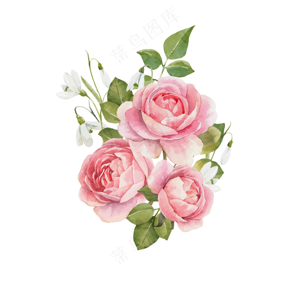 水彩画玫瑰自然华丽粉色图像花朵叶子装饰复古
