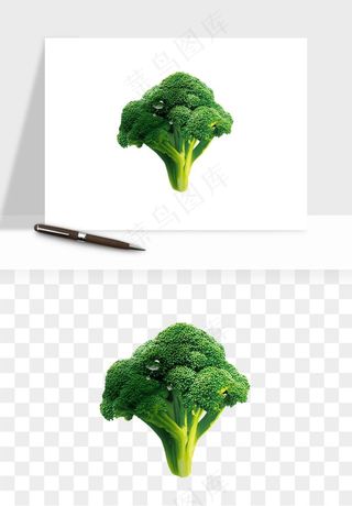 花菜椰菜花蔬菜png免抠