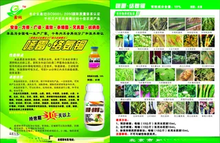 农药宣传页菌毒矢量