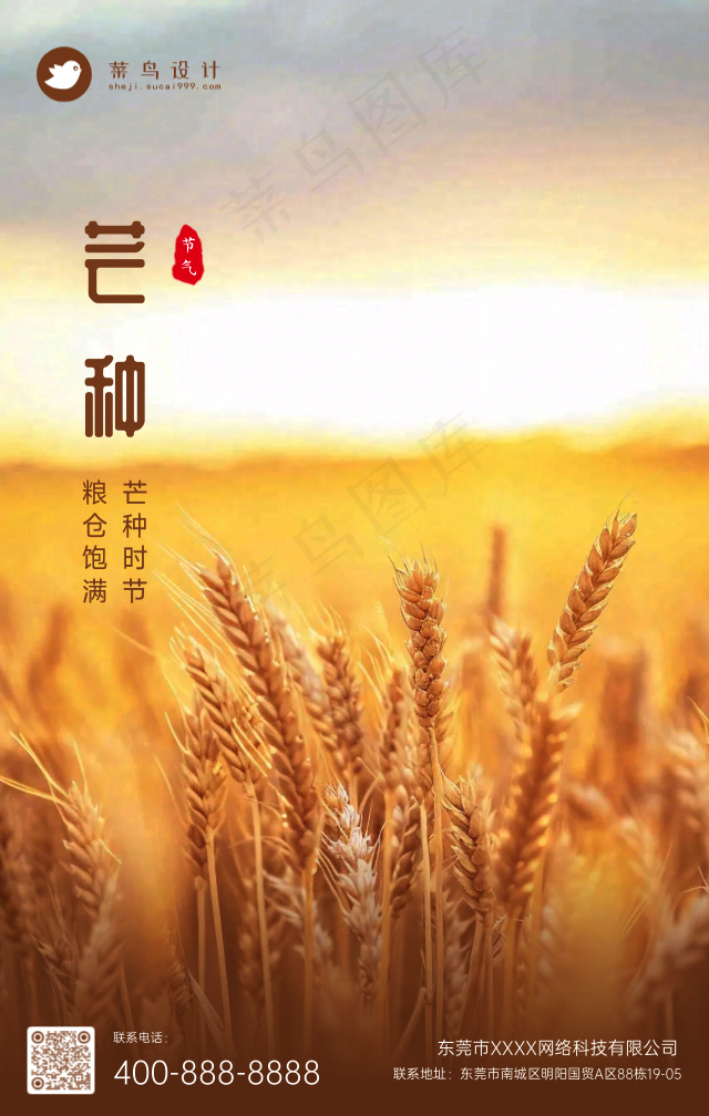 芒种手机海报
