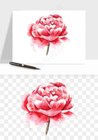 水彩复古花卉png免抠