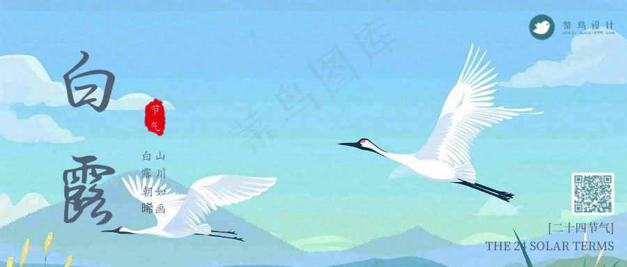 白露公众号首图