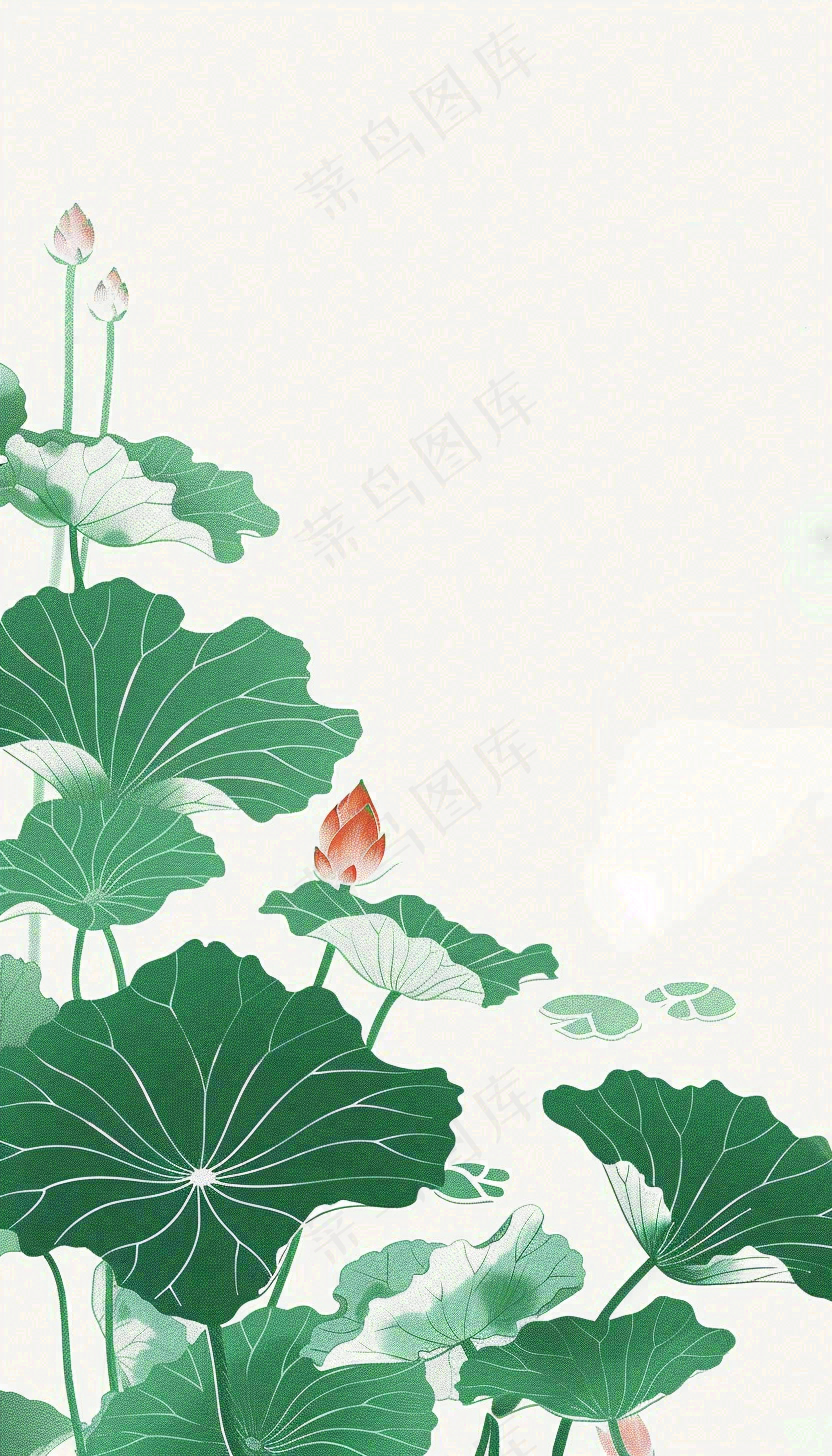 夏天荷花荷叶清凉小清新淡雅立夏夏至暑插画背景