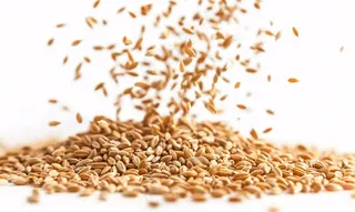 世界粮食日谷物米饭稻谷小麦摄影图