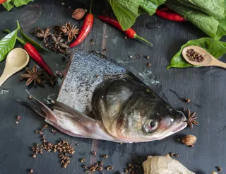 新鲜鱼头食材美食背景