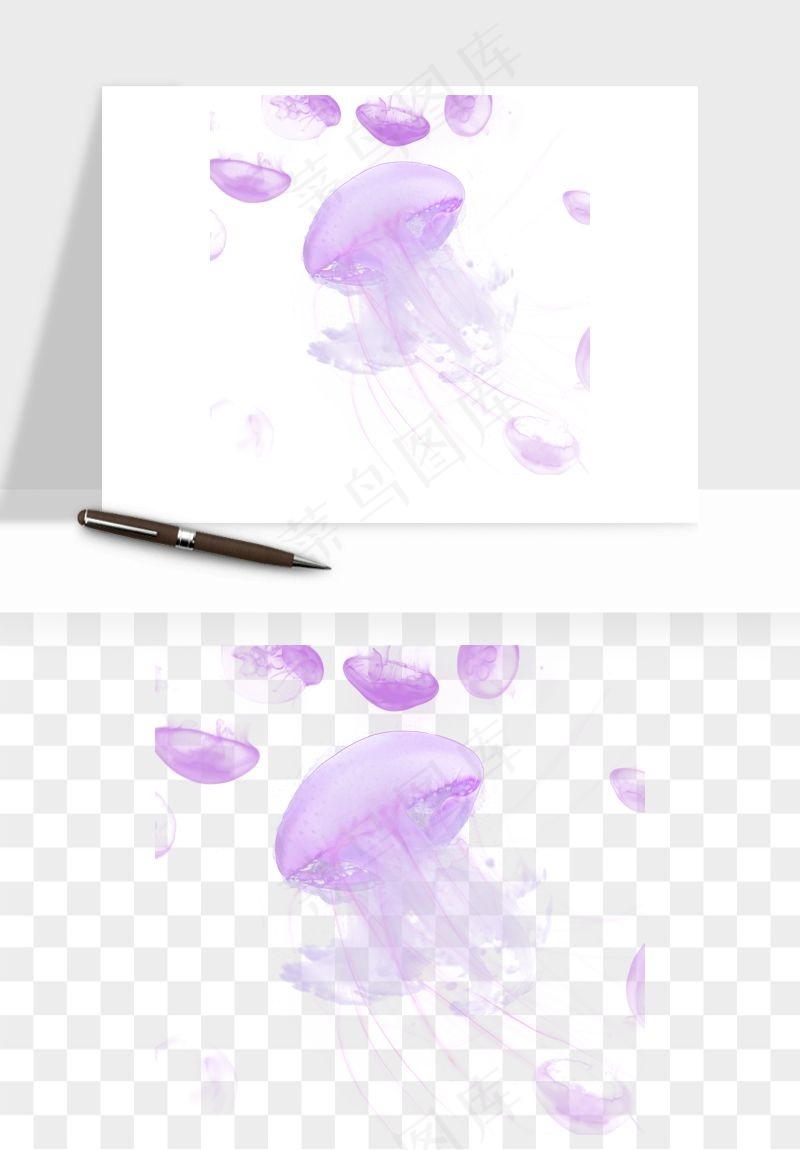 水母章鱼海底生物png免抠图