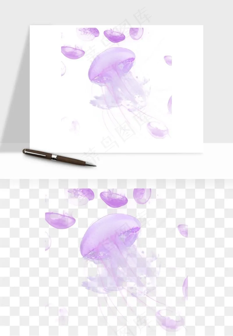 水母章鱼海底生物png免抠图