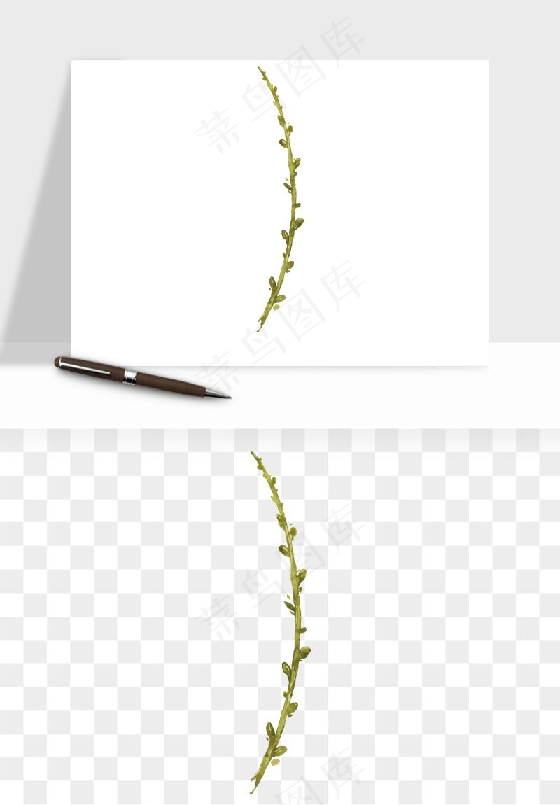 清新手绘植物png免抠