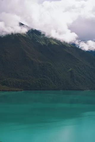 静谧湖畔的翠绿仙境——自然风格色彩摄影