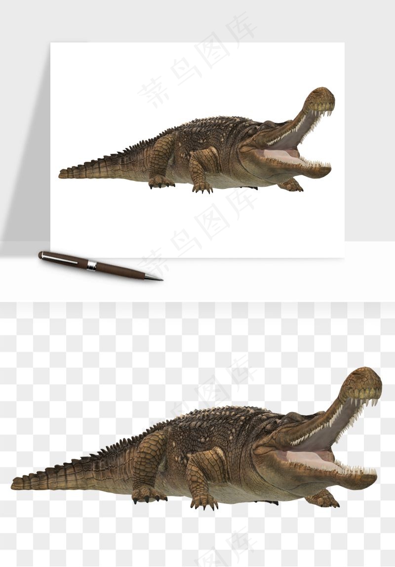 鳄鱼动物png免抠