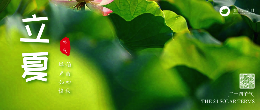 立夏公众号首图