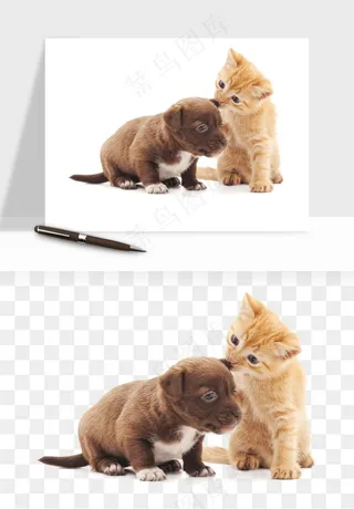 猫咪喵星人狗狗宠物元素png免抠