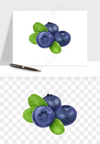 蓝莓水果png免抠