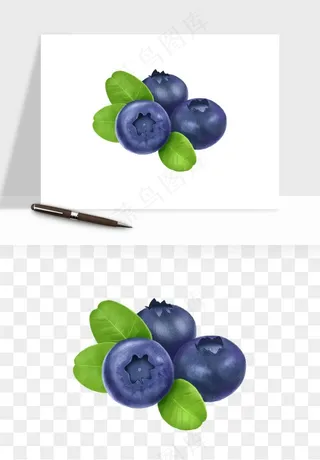 蓝莓水果png免抠