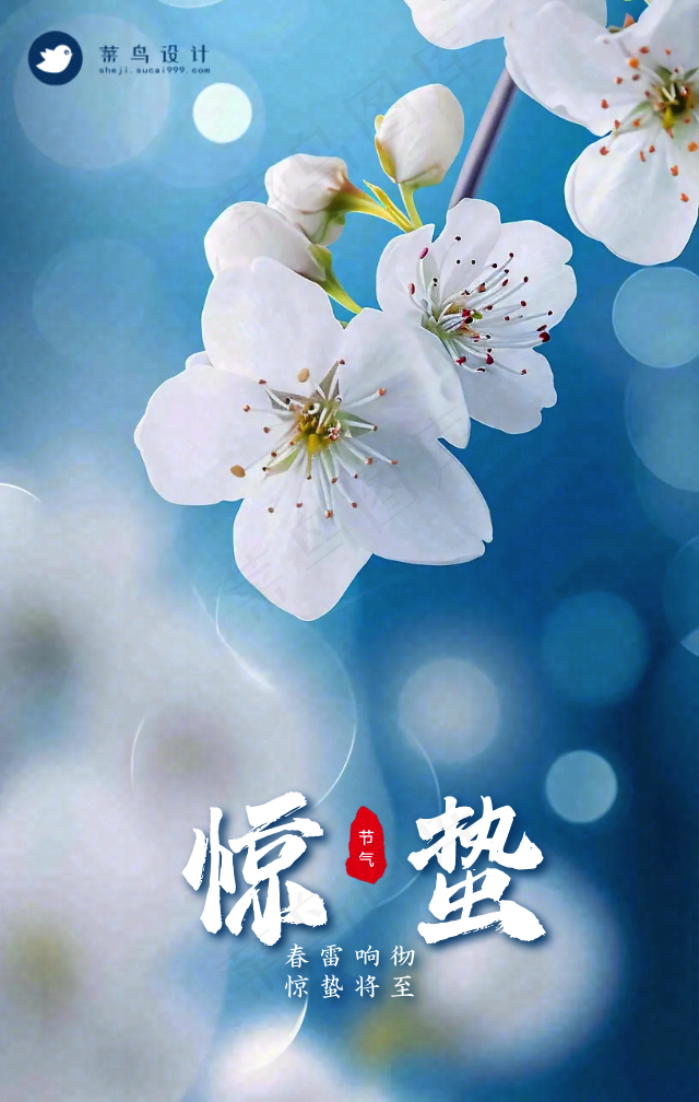 惊蛰手机海报