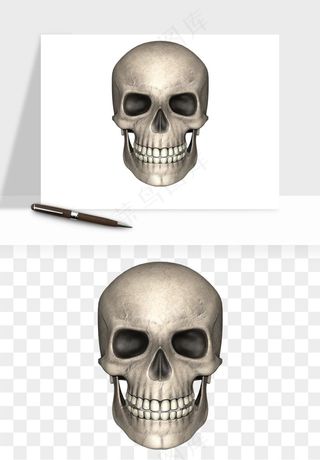 人体骨头png免抠