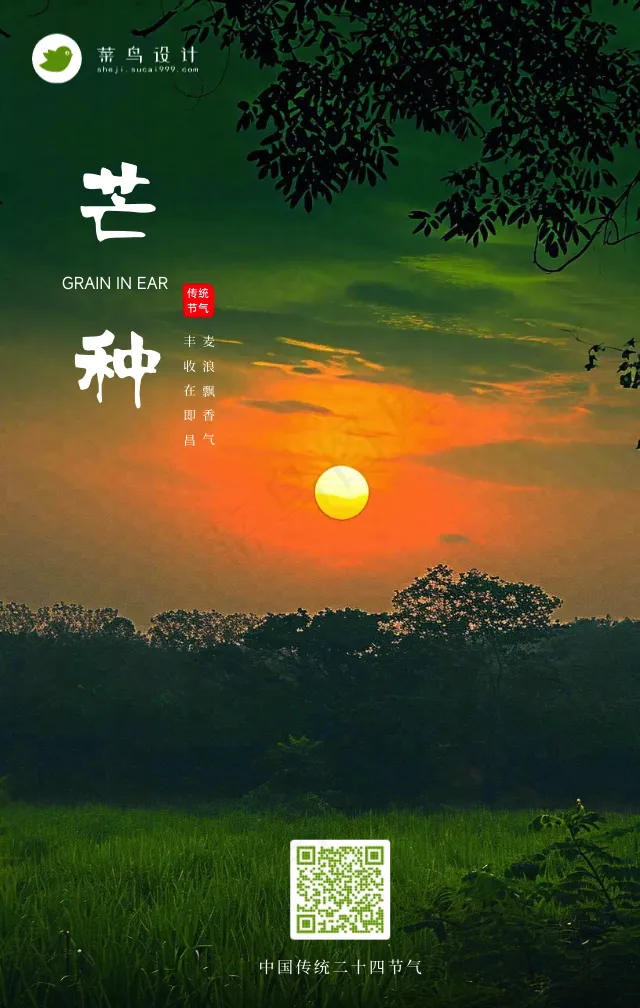 芒种手机海报
