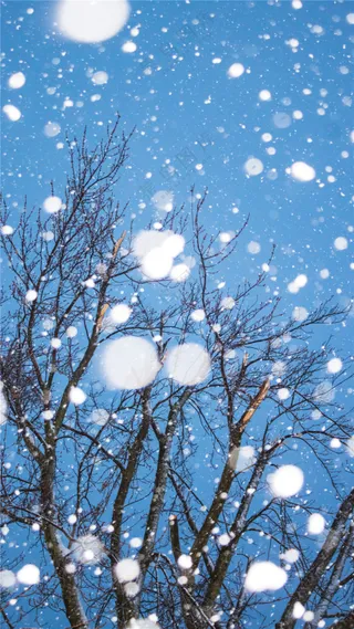 冬季雪花纷飞唯美图片