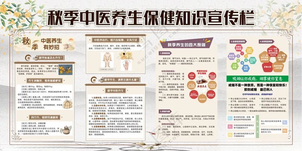 秋季中医养生保健知识宣传栏中医院宣传设计