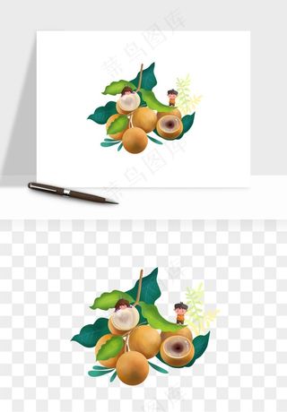 龙眼桂圆水果png免抠