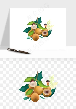 龙眼桂圆水果png免抠