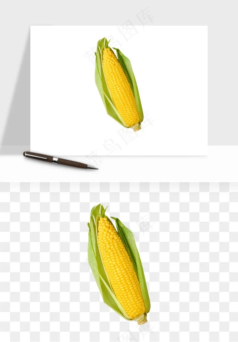 玉米带叶玉米png免抠