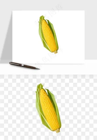 玉米带叶玉米png免抠