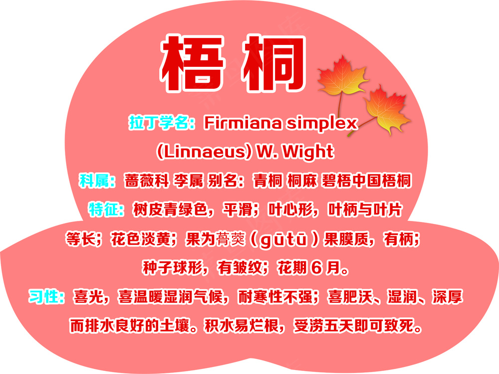 桃形 梧桐树牌