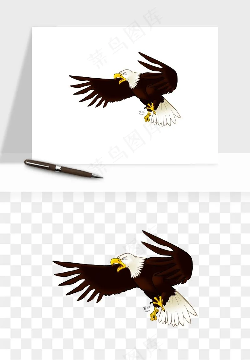 老鹰雄鹰展翅png免抠