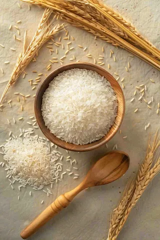 世界粮食日谷物米饭稻谷小麦摄影图