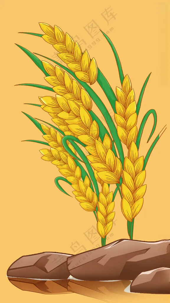 国潮水稻大米插画海报背景大米插画大米丰收图
