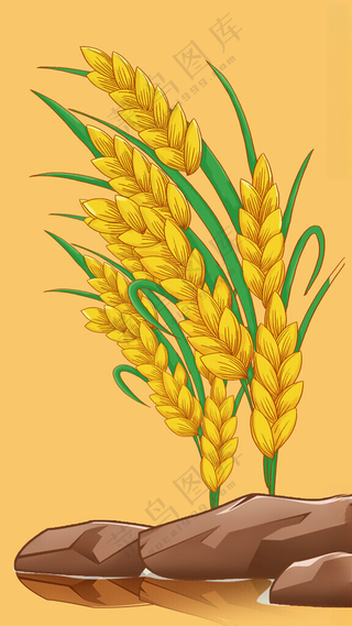 国潮水稻大米插画海报背景大米插画大米丰收图