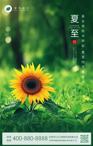 夏至手机海报